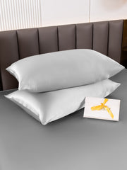 2Pcs 22Momme 100% Silk Pillowcases Bundle - Hidden Zipper